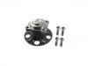 комплекс ступичного подшипника Wheel Hub Bearing:246 334 00 06