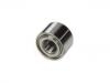 Wheel Bearing:40210-71L00